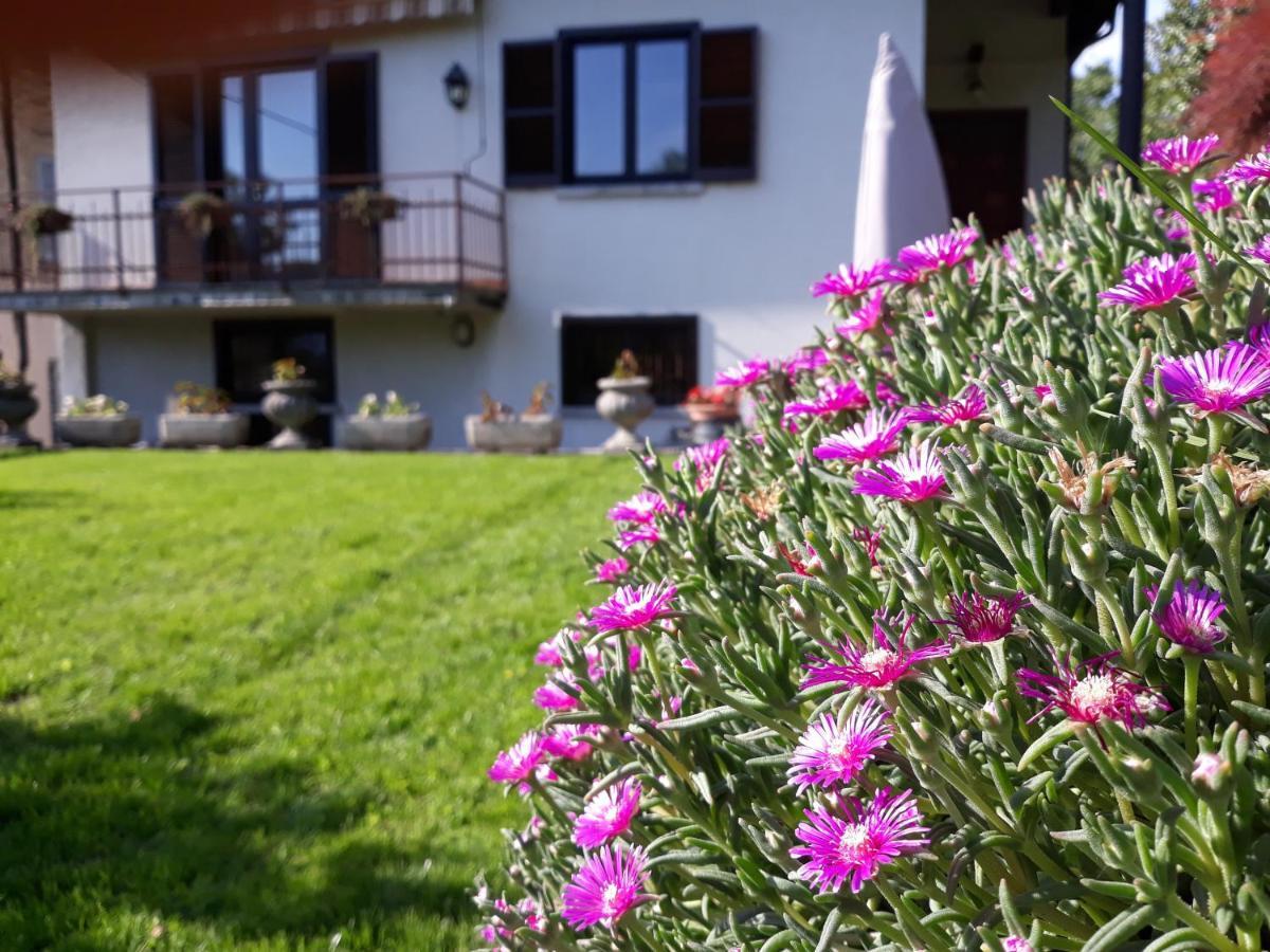 Villa Giardino Dervio Exterior photo
